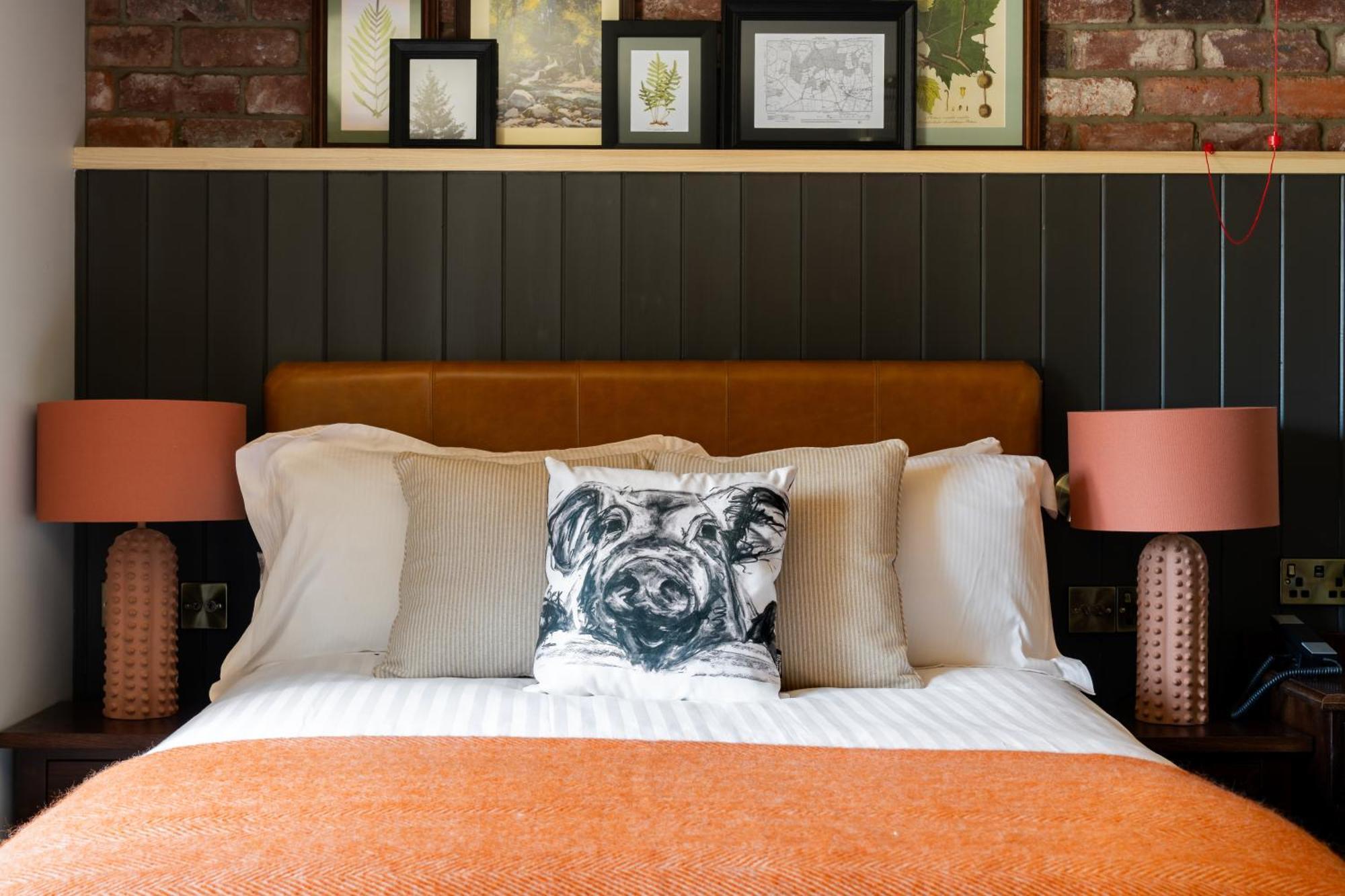 Double Room - Disability Access,1689830096:JPEG