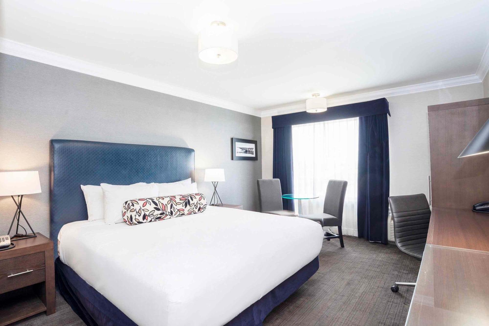 Standard Room 1 King Bed