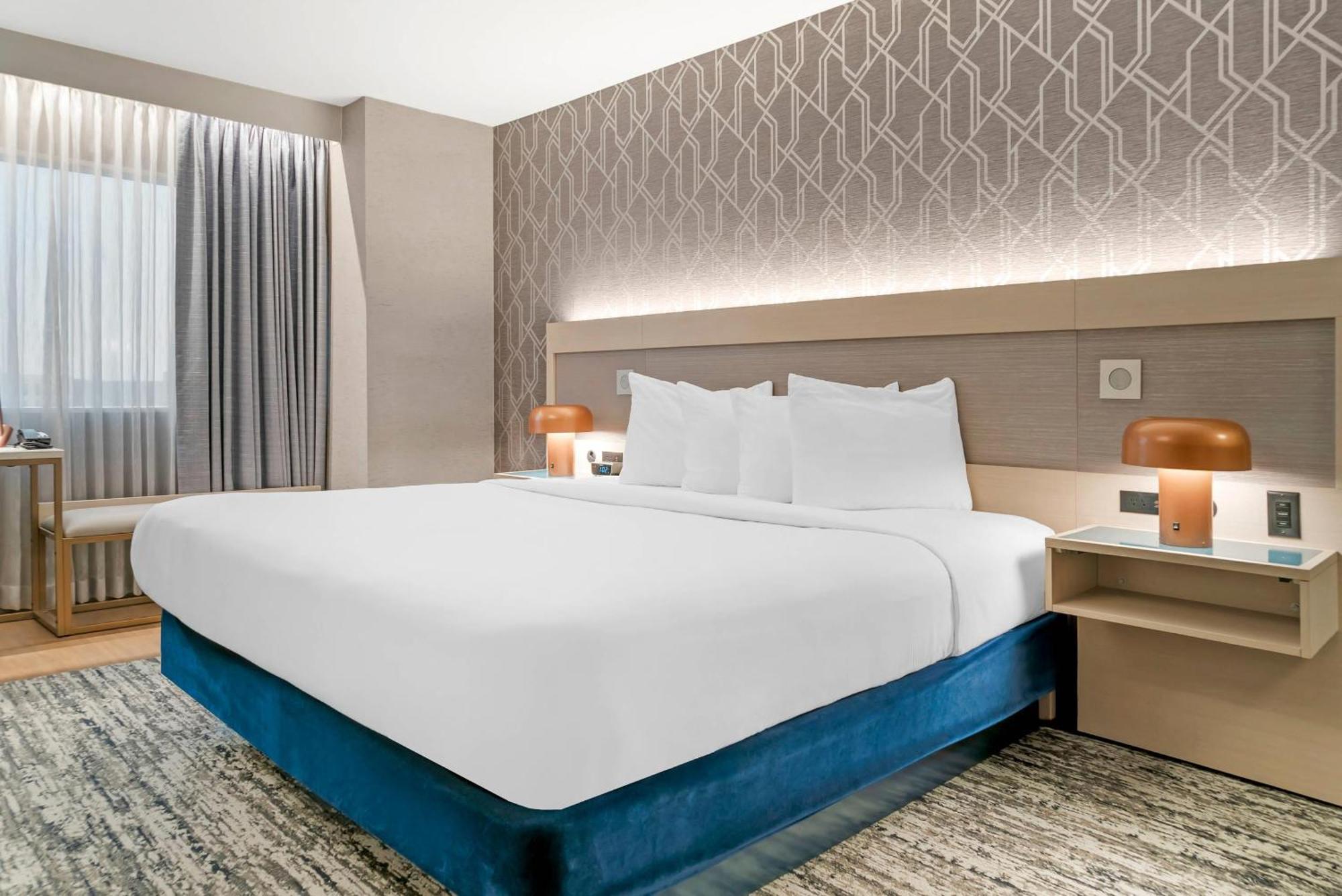 1 King Bed,1693293838:JPEG