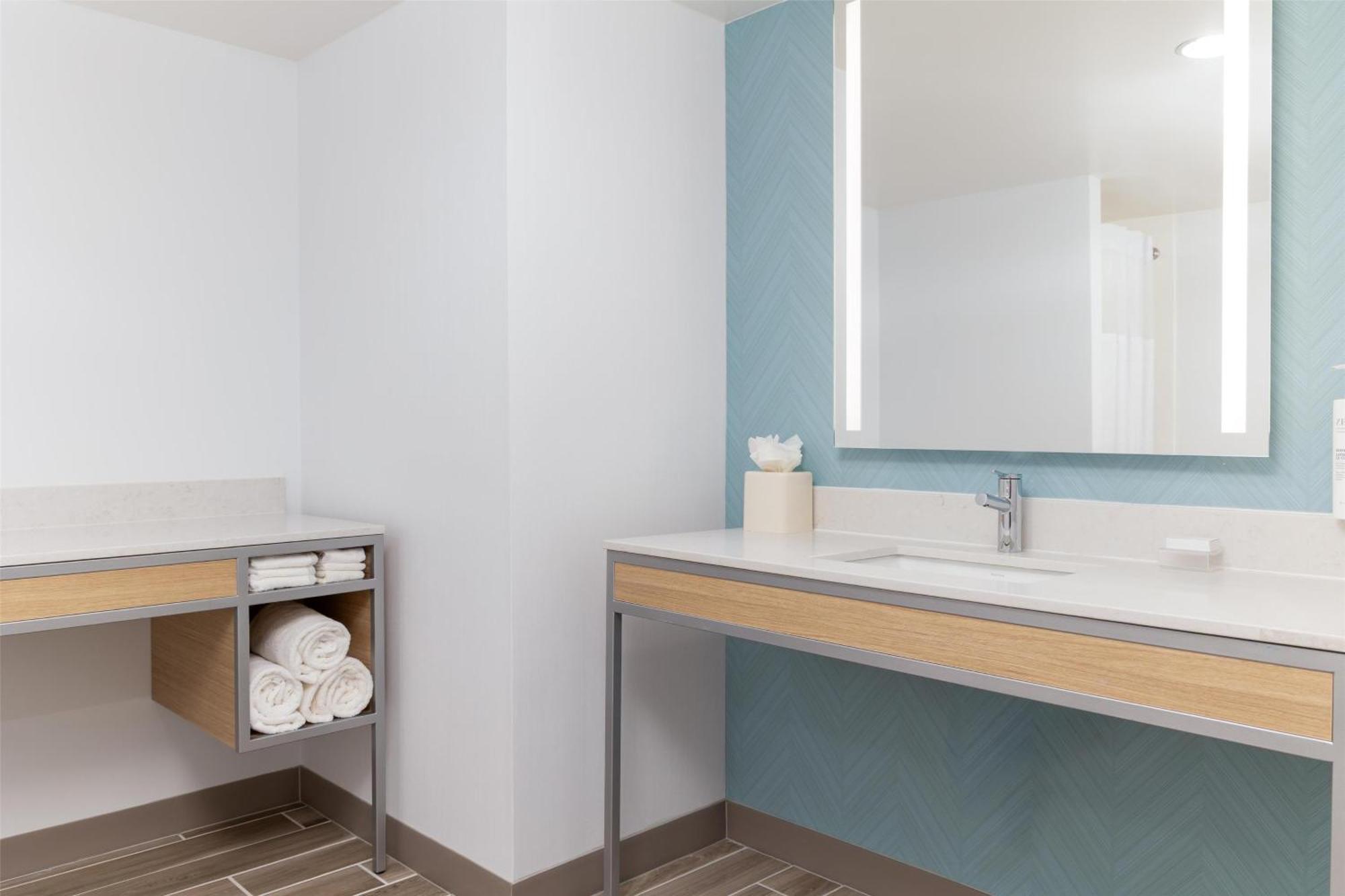 King Suite Roll Shower Mobility or Hearing Accessible