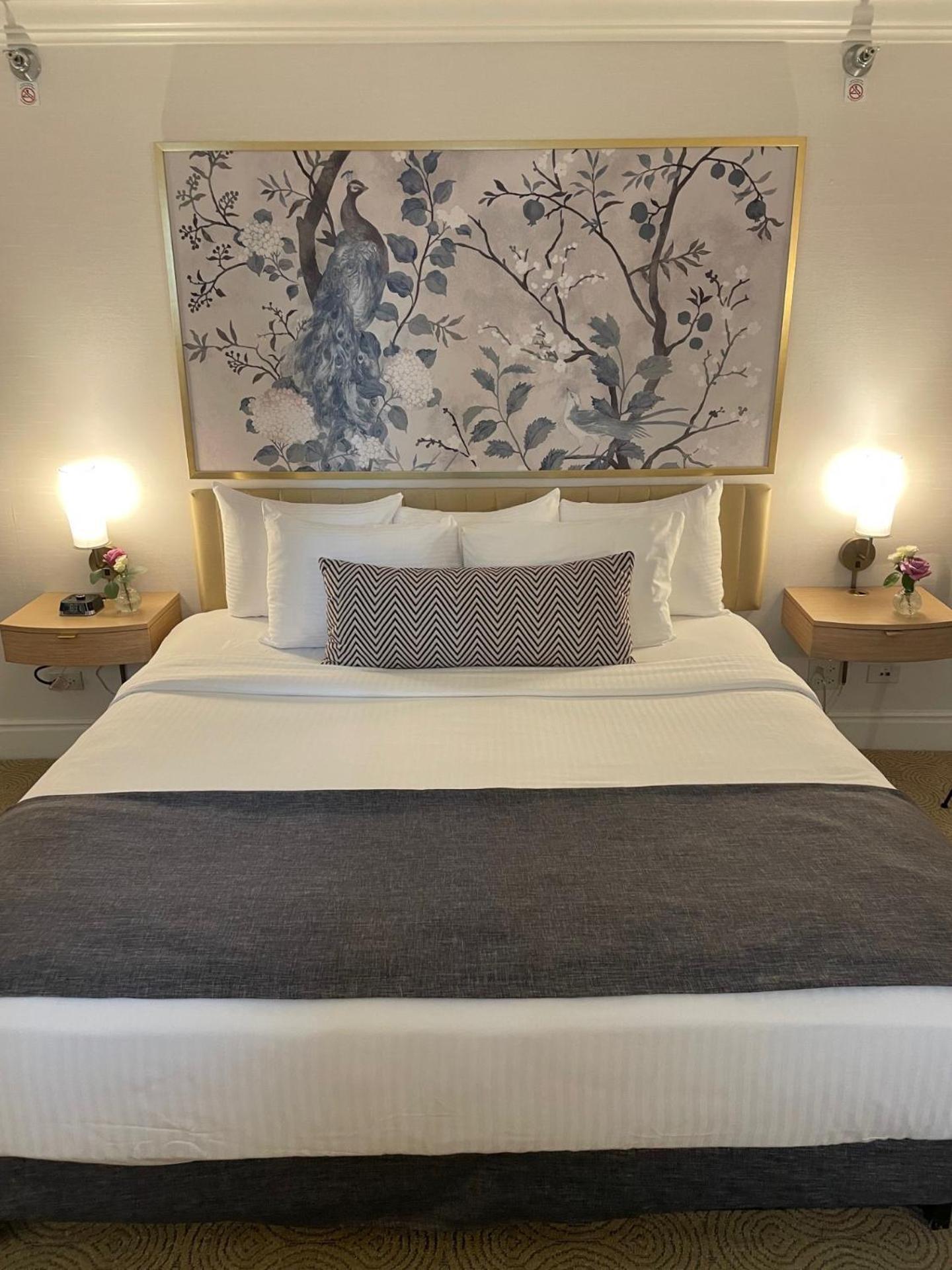 Petite Classic,1703547180:JPEG