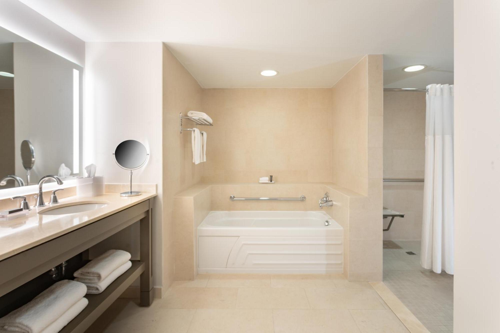 Traditional King Room City View Bathtub Mobility Hearing Accessible
