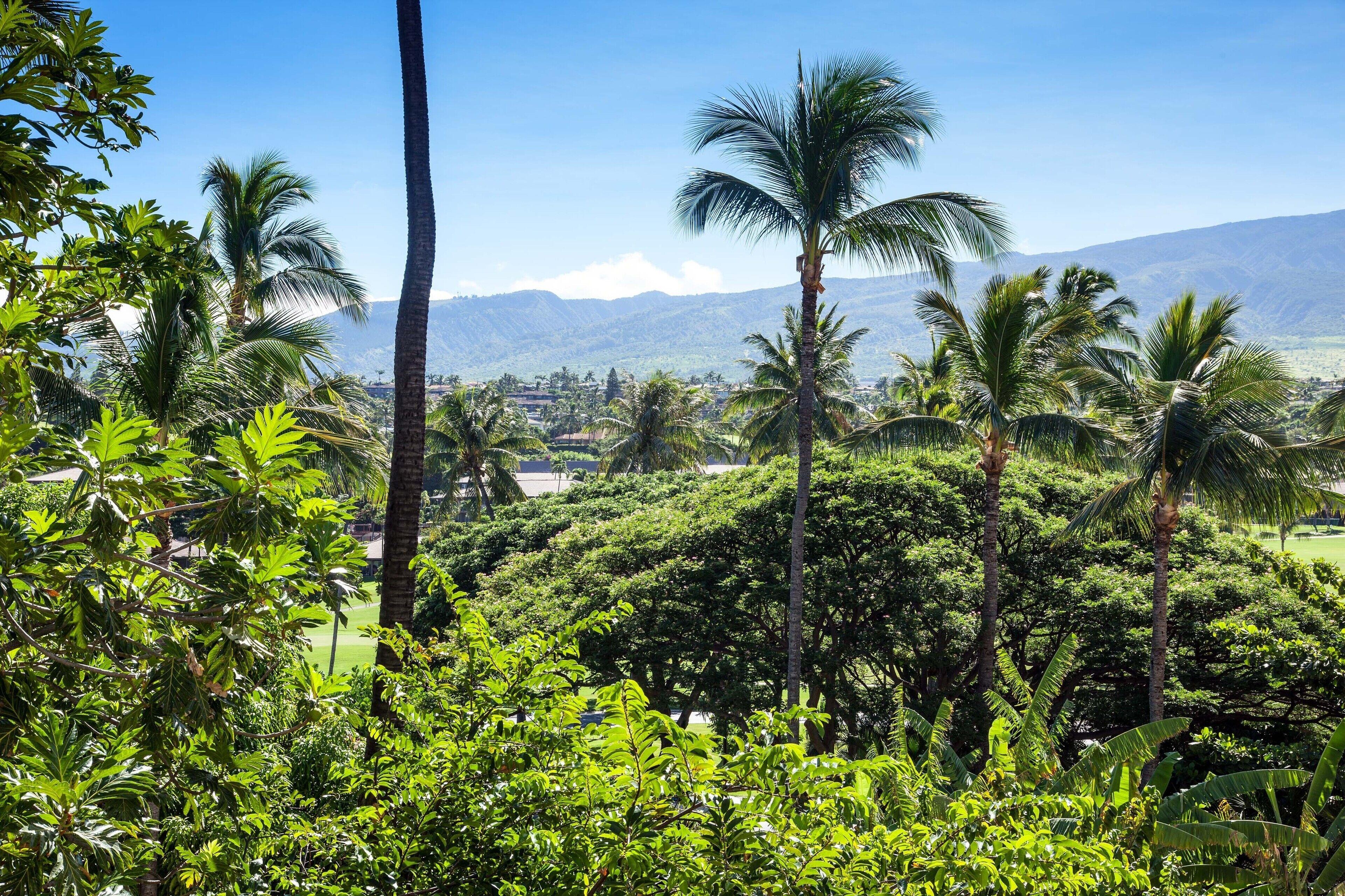 Resort View King