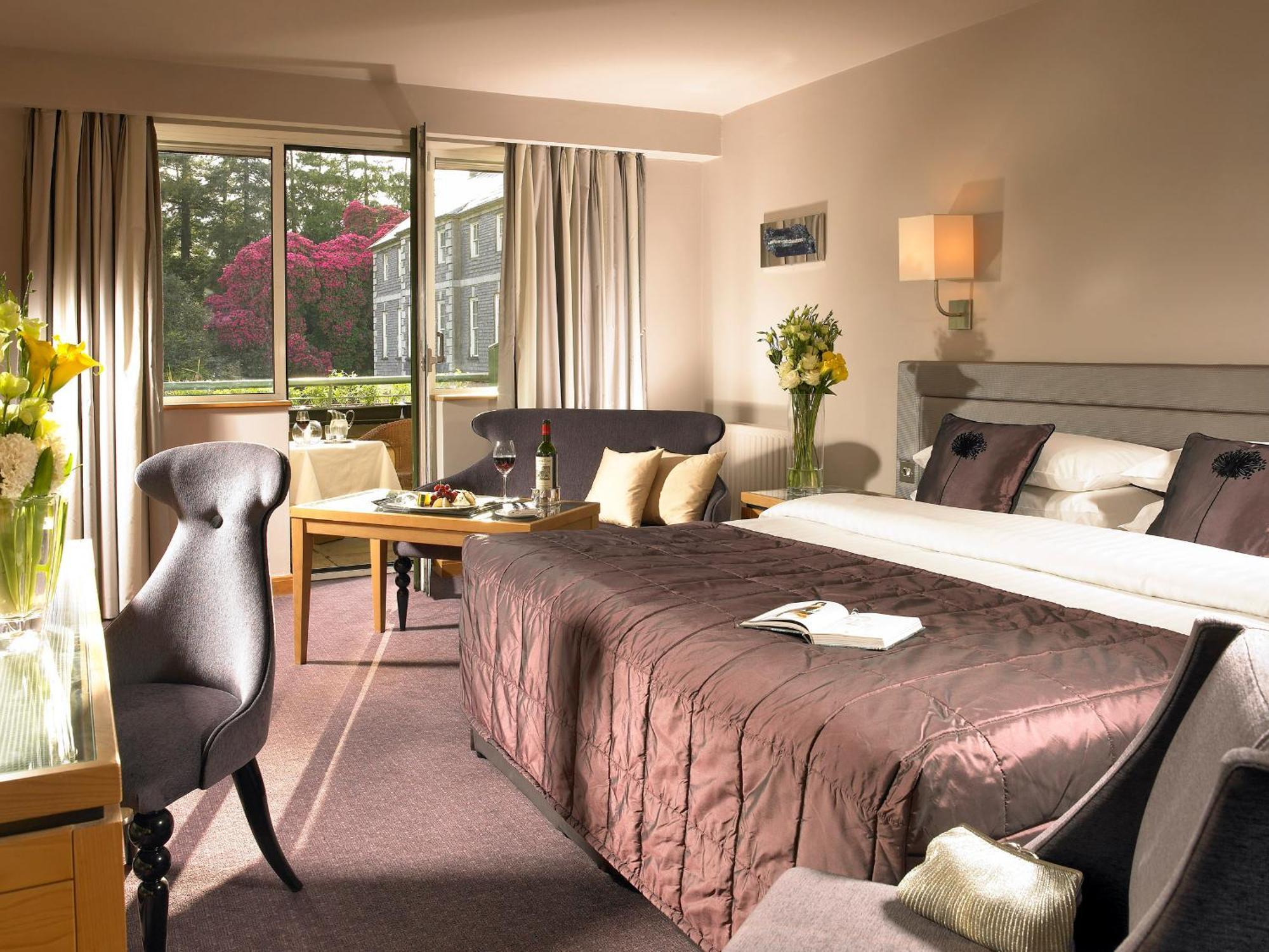 Executive Double or Twin Room,996773971:JPEG