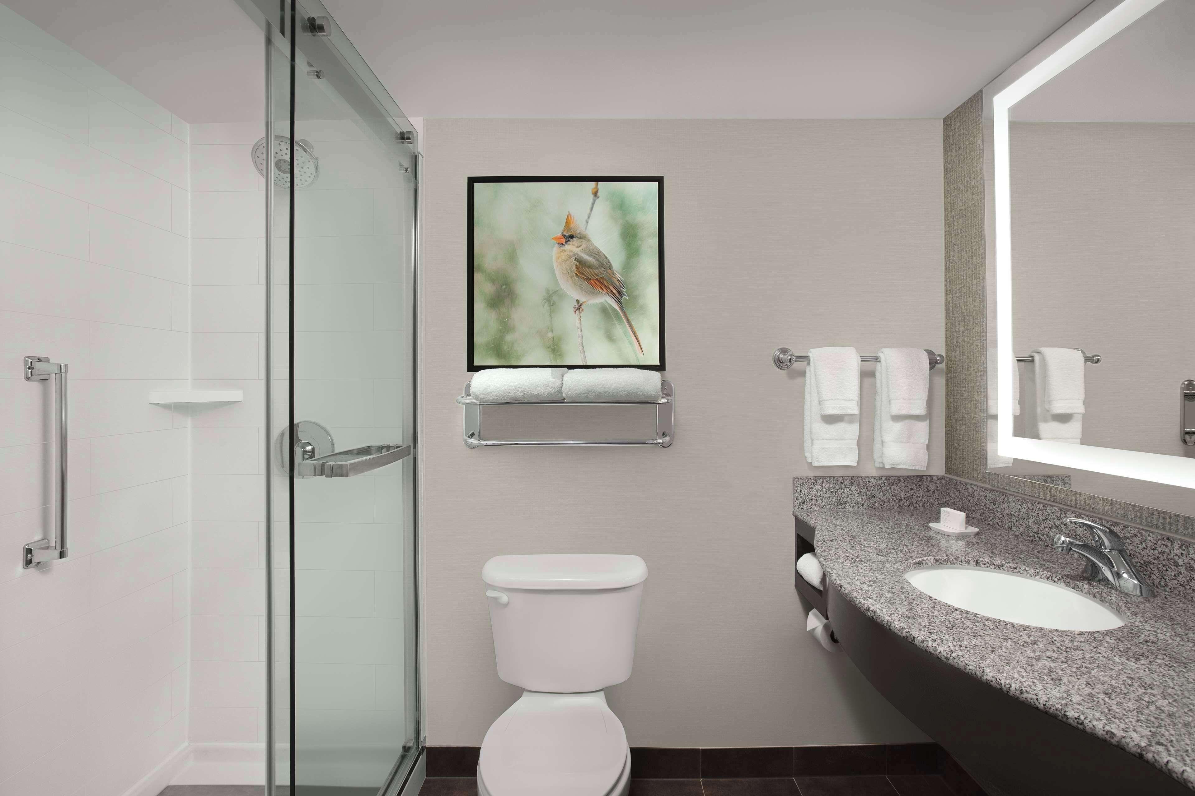 King Room Walk Shower