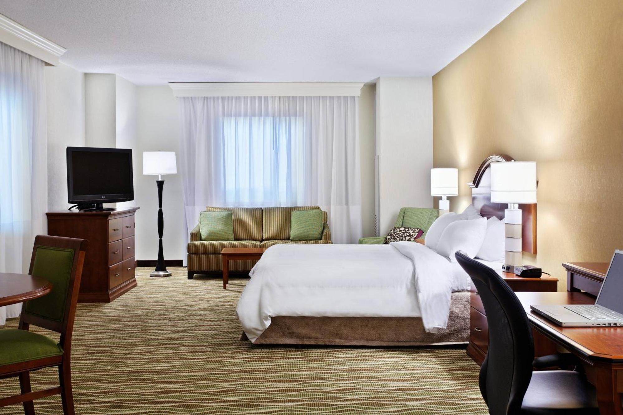 One-Bedroom Junior Suite Sofa Bed