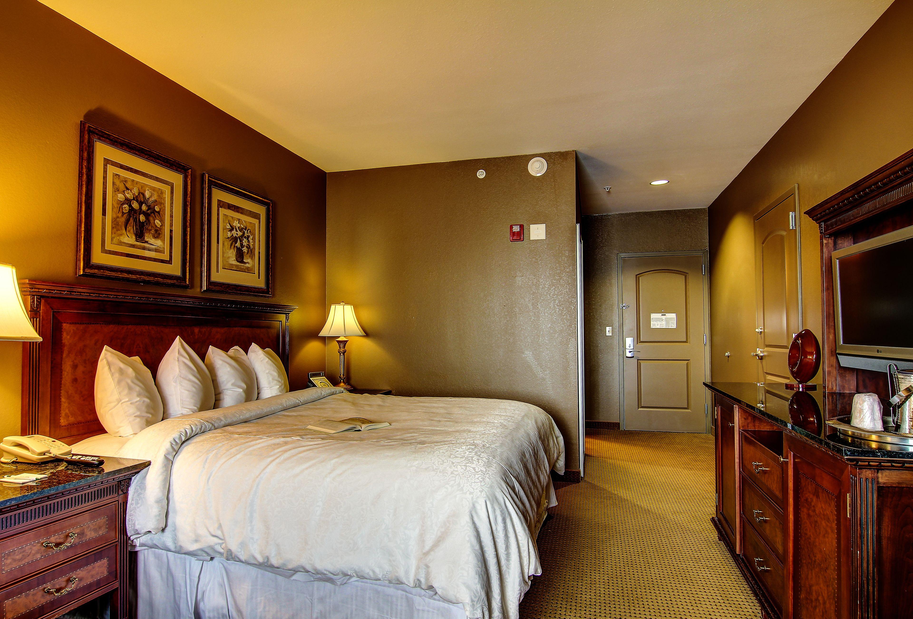 King Room Roll Shower Disability Access