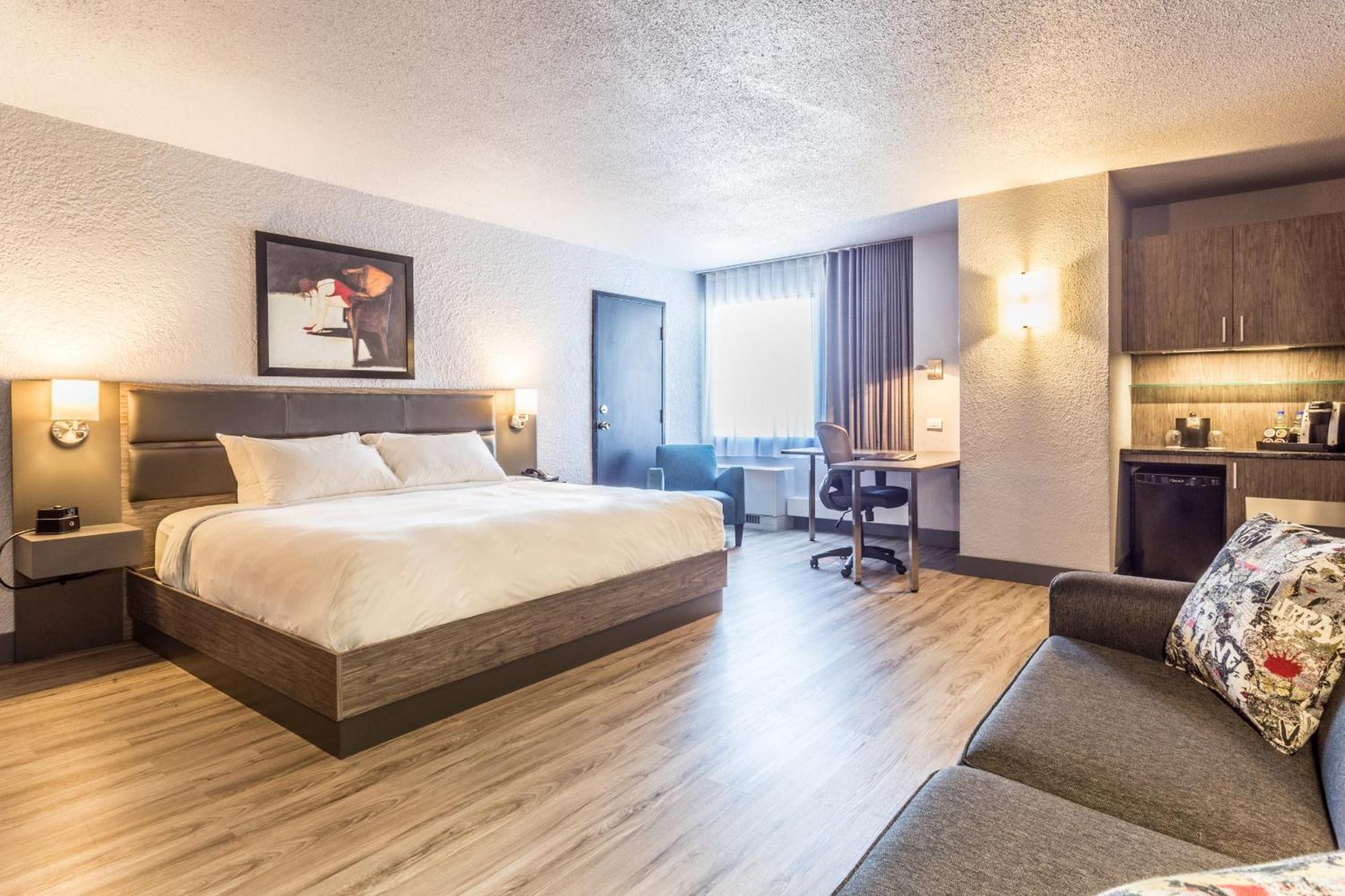 One Room Suite with Sofa bed - Non Smoking,1717017949:JPEG