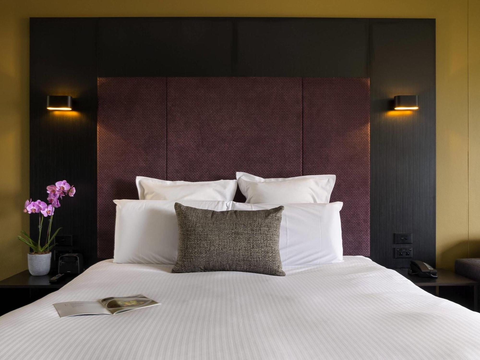 Deluxe King Room Park View