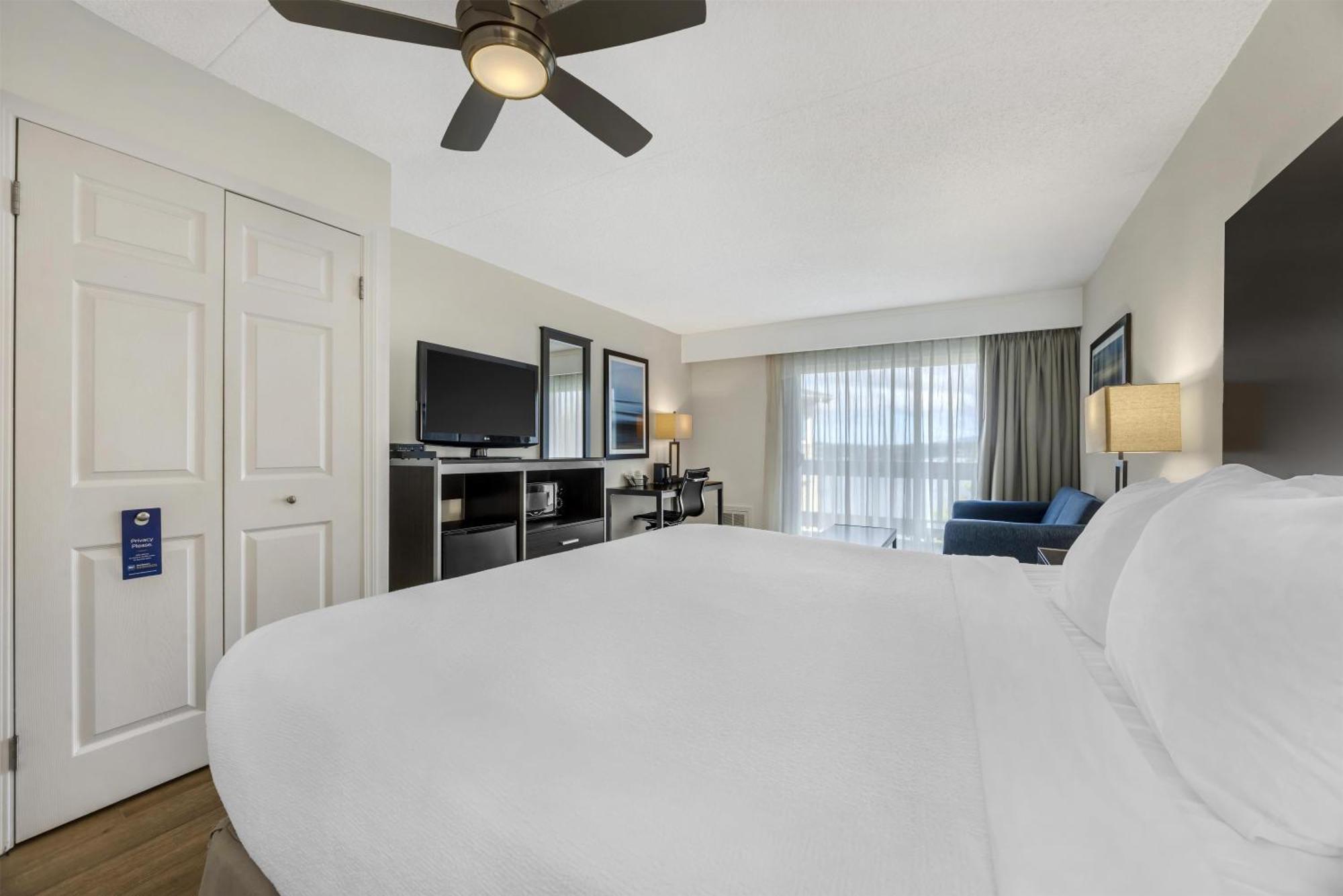 Pet Friendly, 1 King Bed, Balcony,1731446372:JPEG