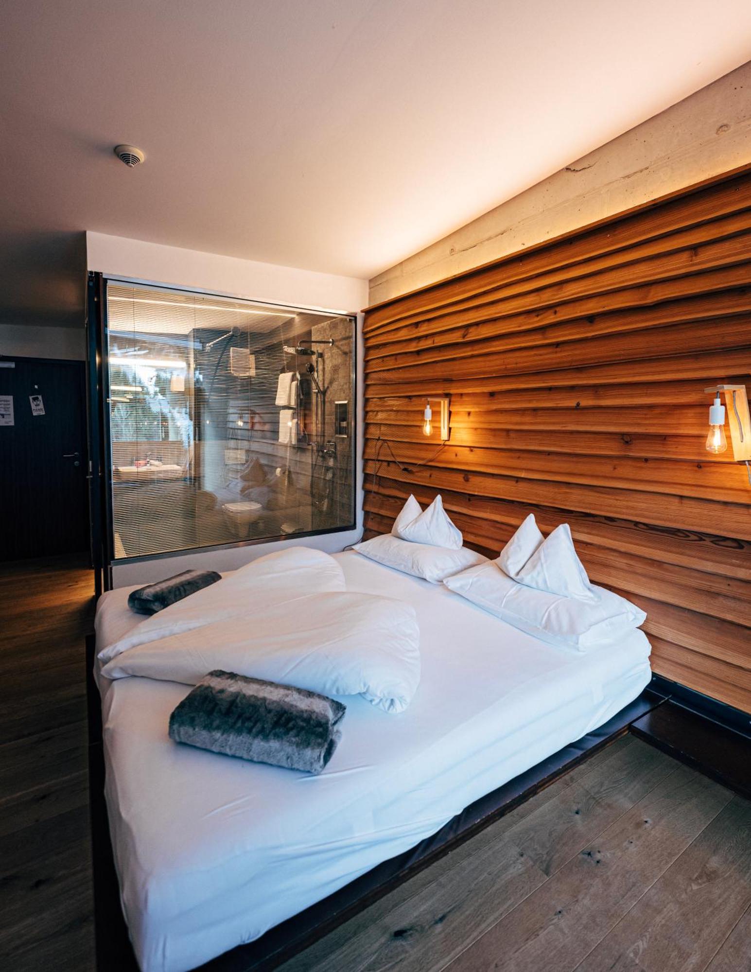 Double or Twin Room Mountain View