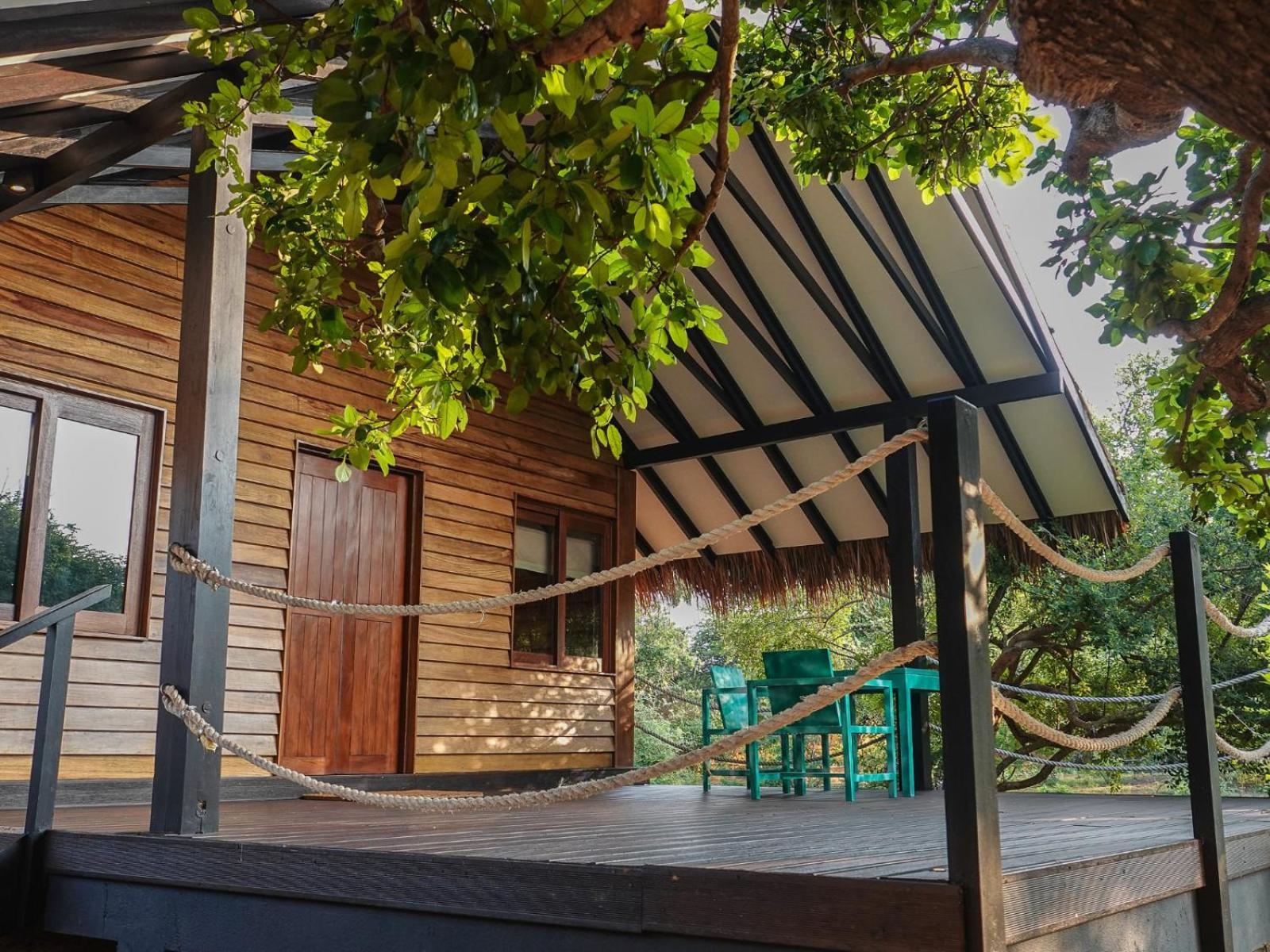 Jungle Dwelling