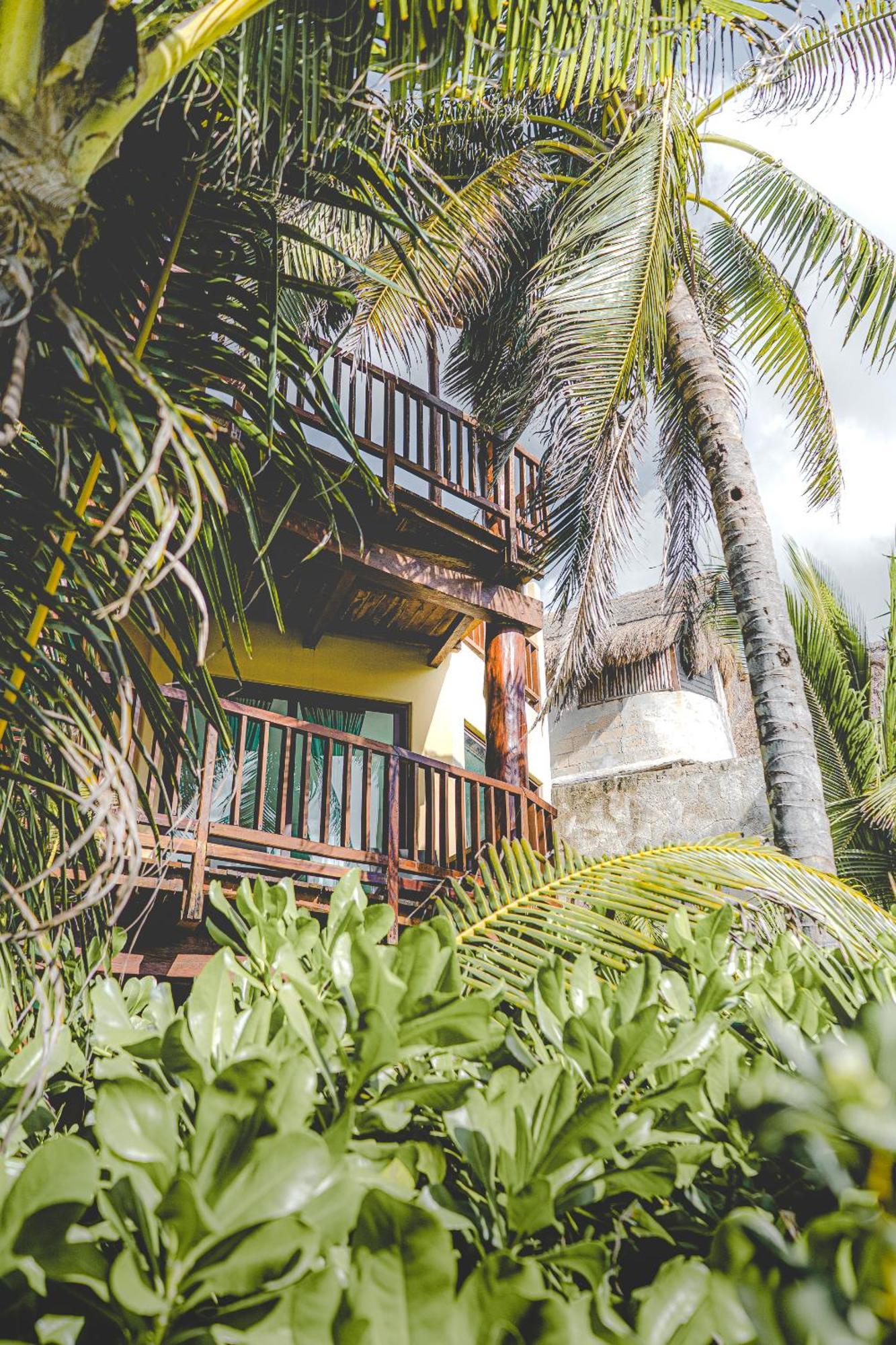 Superior King Room,1746872978:JPEG