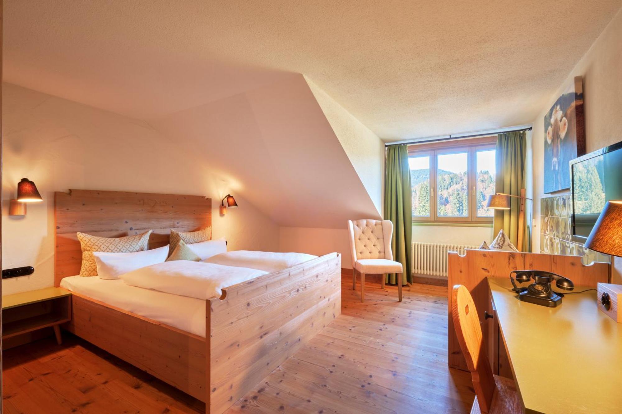 Double Room Mountain View