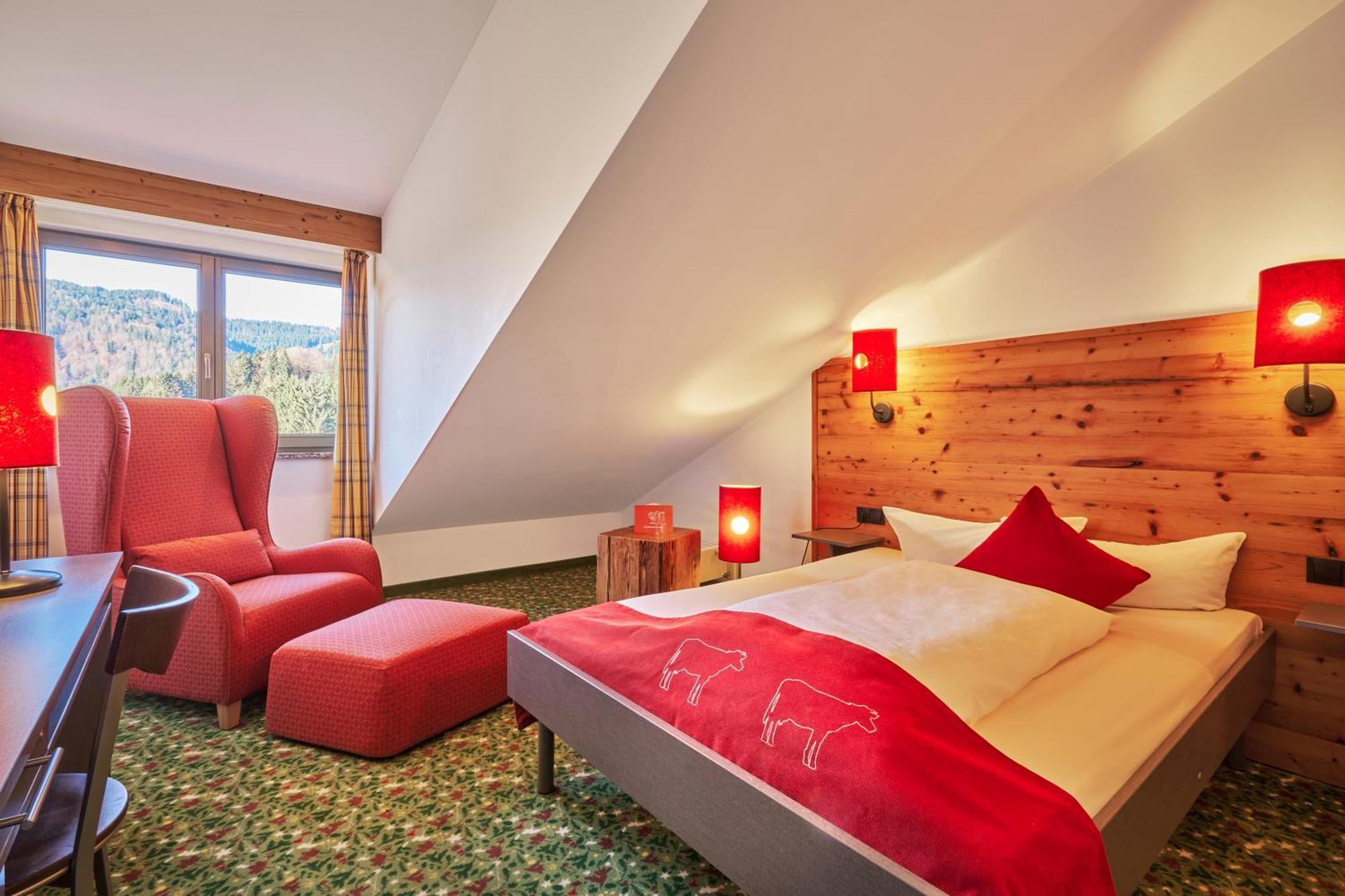Single Room Mountain View
