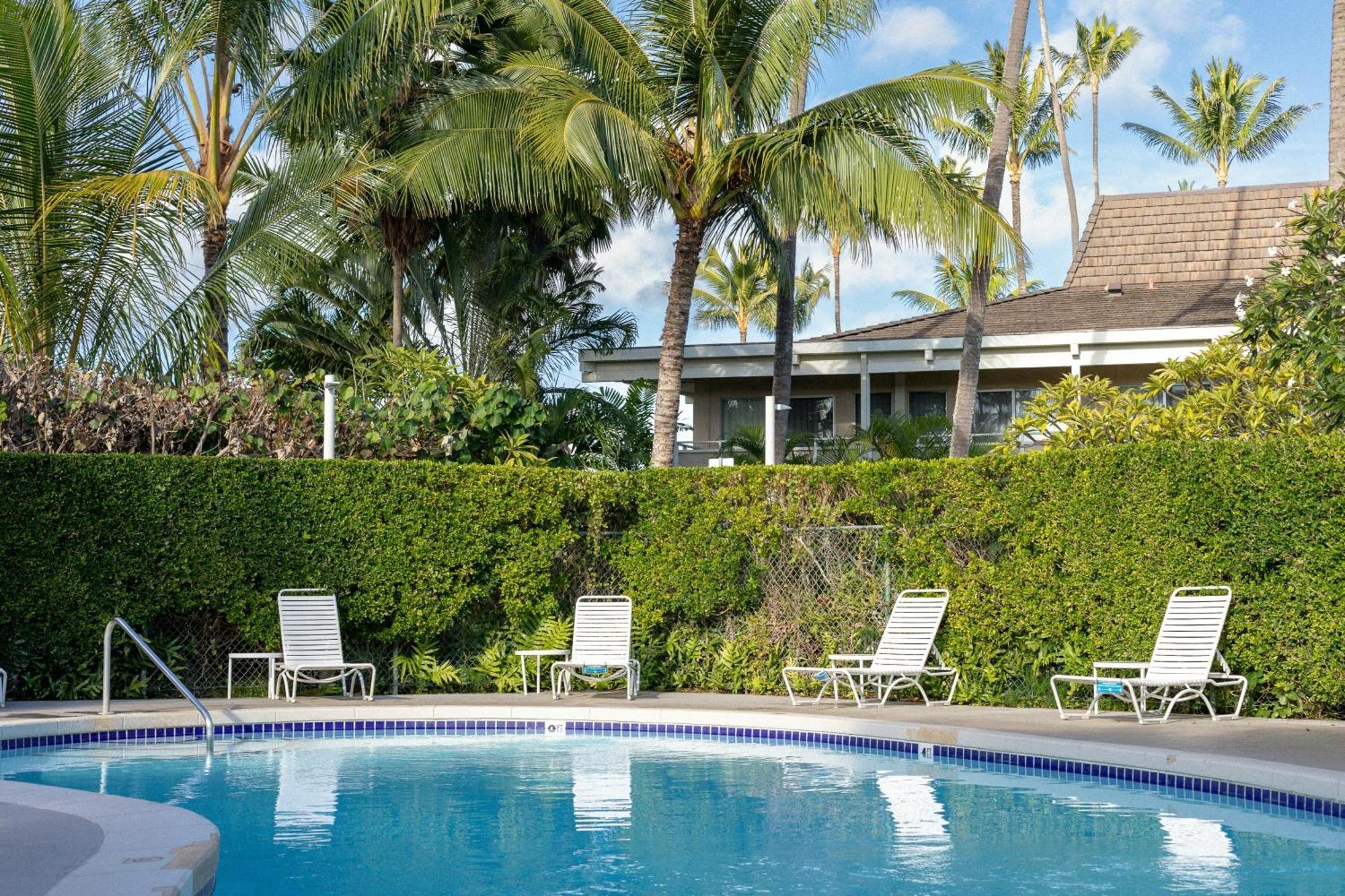 Suite mit 1 Schlafzimmer, 1 Kingsize-Bett, Schlafsofa und Poolblick