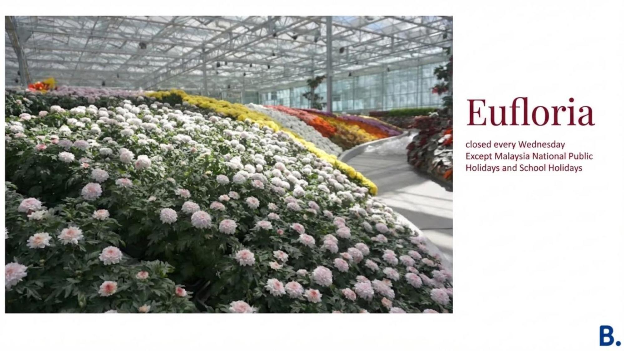 Room Eufloria Quads Room