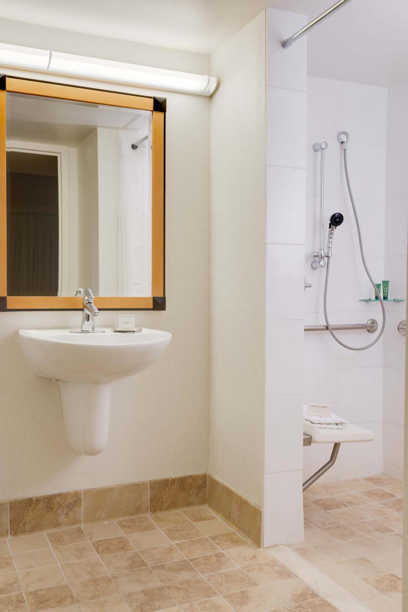 Deluxe Queen room Roll Shower