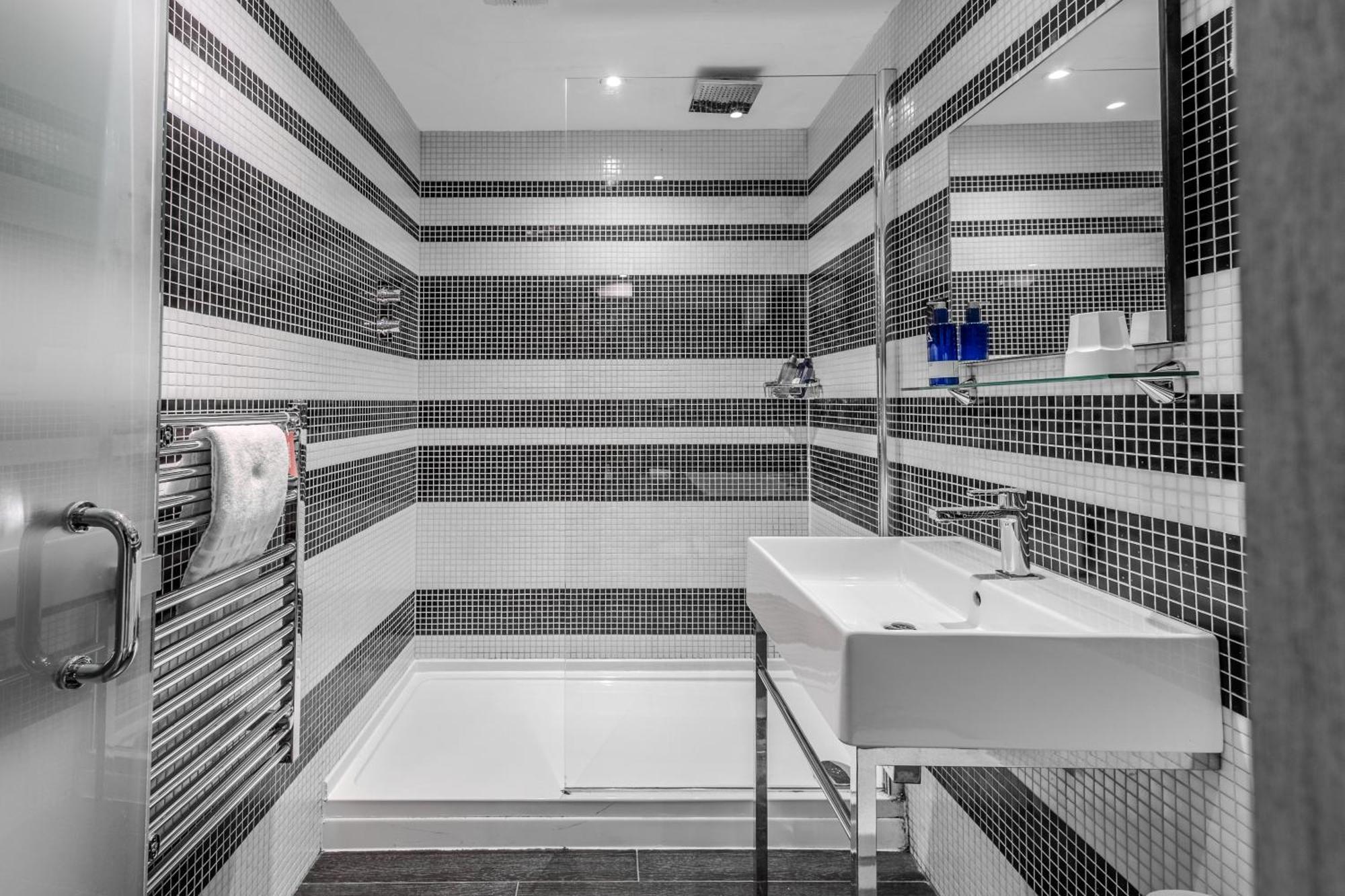 Large Executive Double or Twin Room