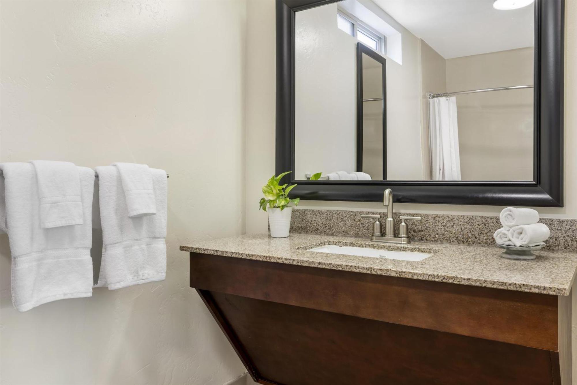 King Suite Walk Shower Sofa Bed Disability Access or Non-Smoking