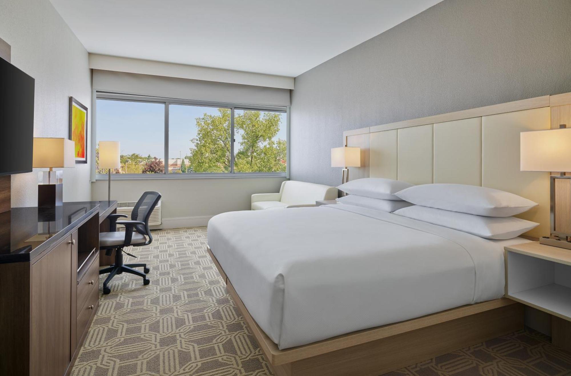 One-Bedroom King Suite Sofa Bed