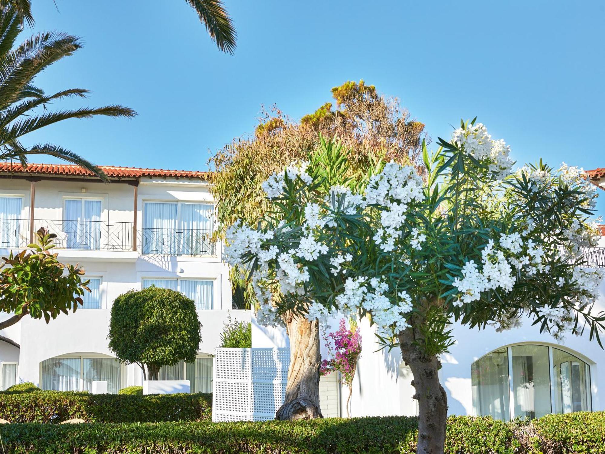 Junior Suite Private Garden