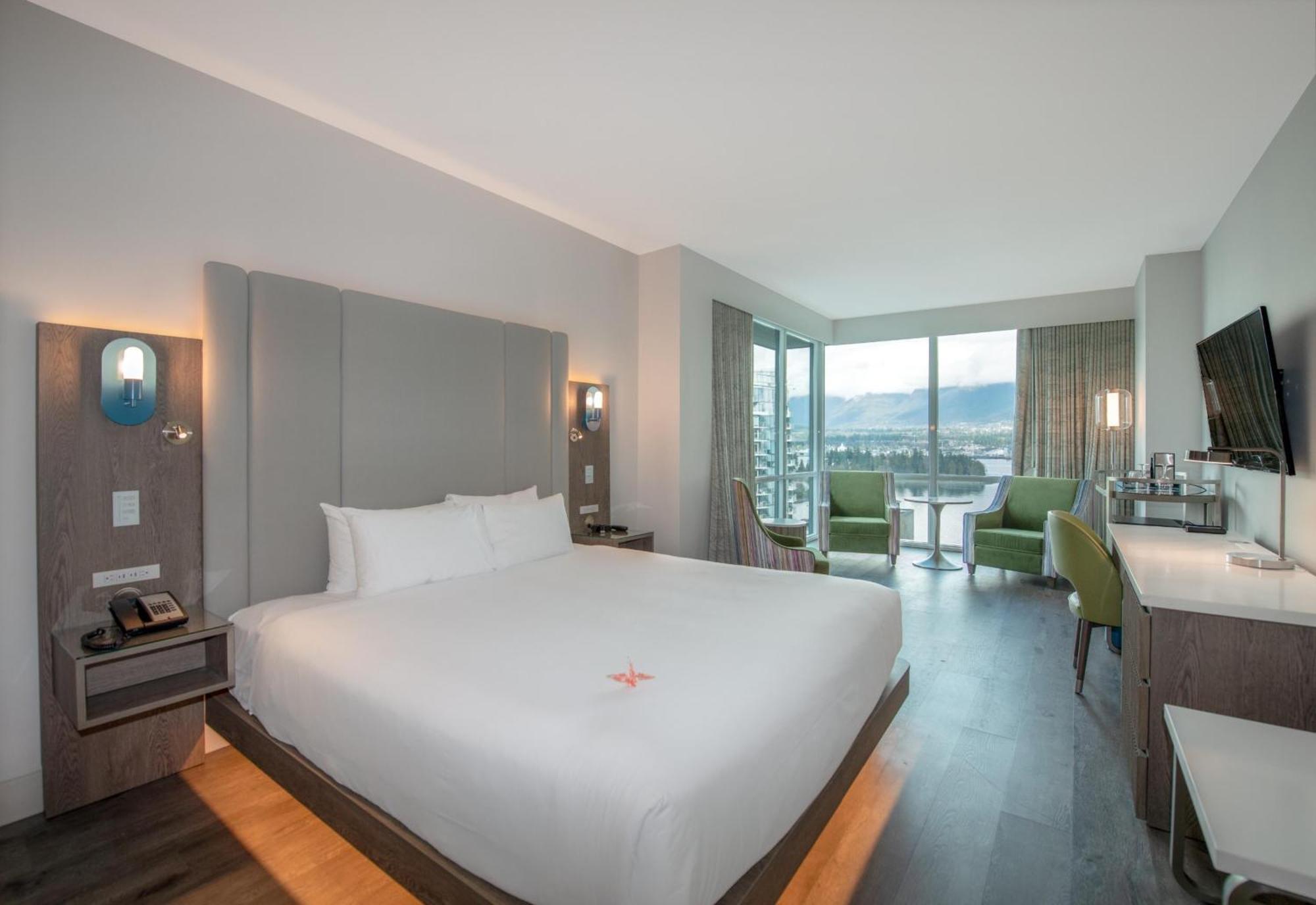 Coast King View Pet Friendly