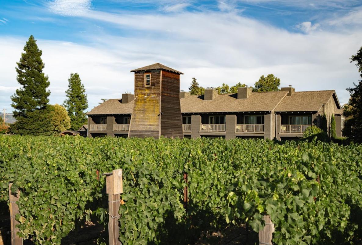 Vineyard King