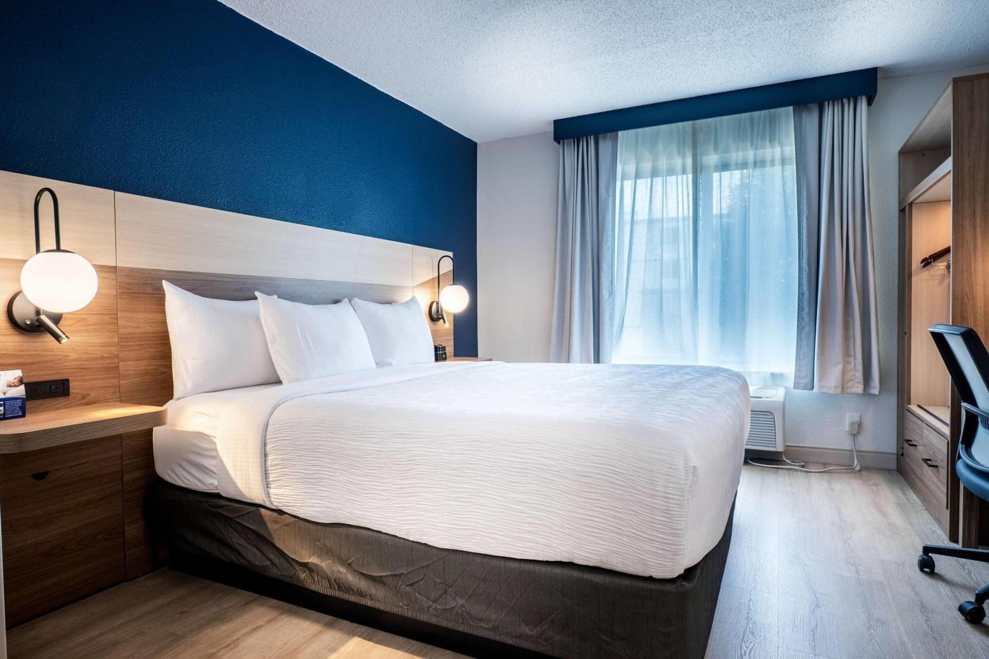 Standard King Room