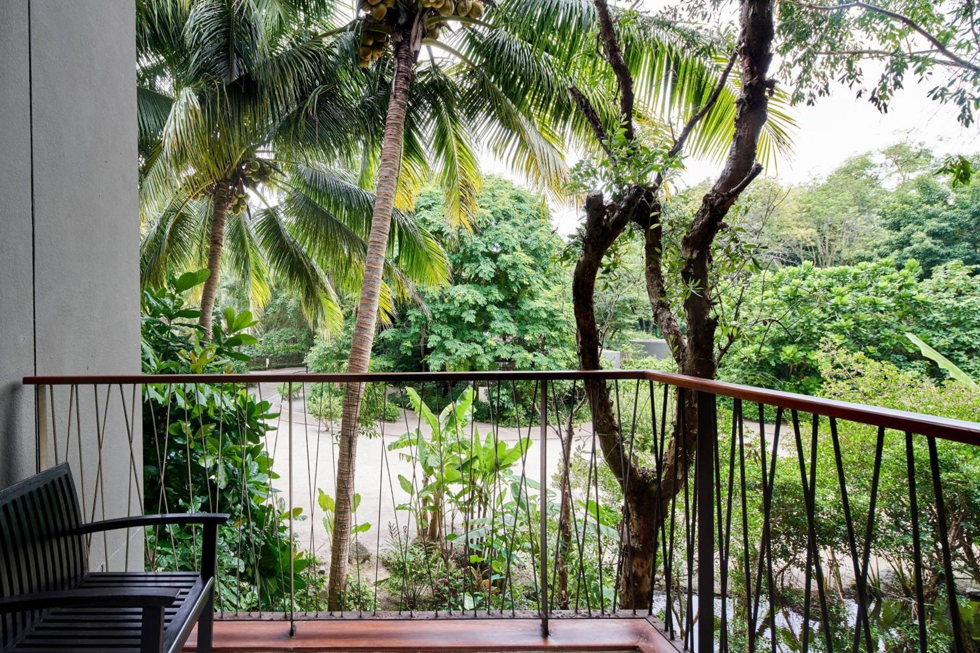 Deluxe Room 1 King Garden View Newly Renovated