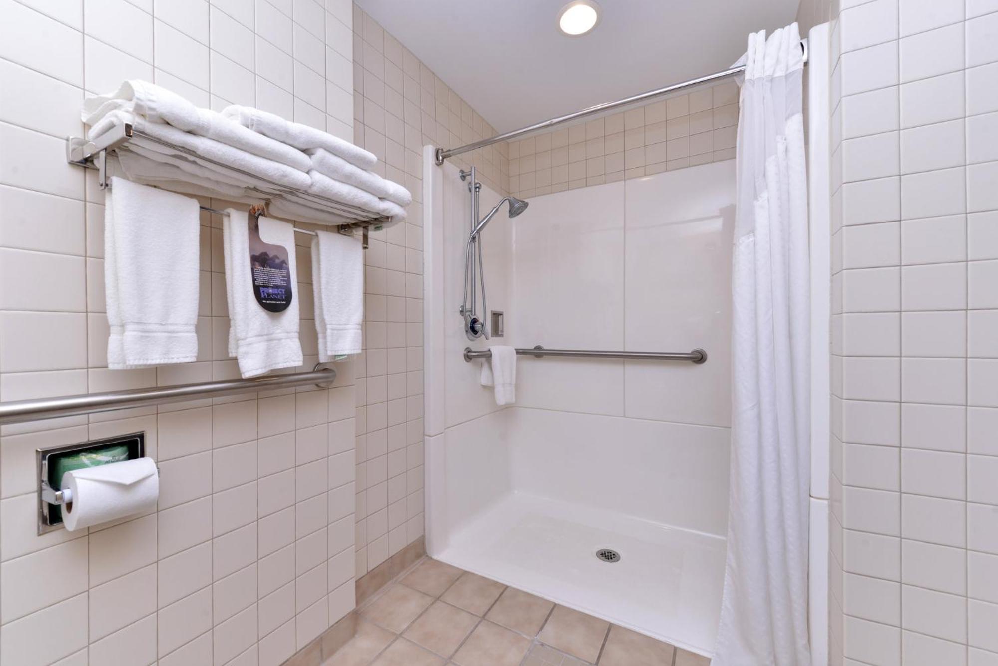 King Room - Disability Access Roll in Shower