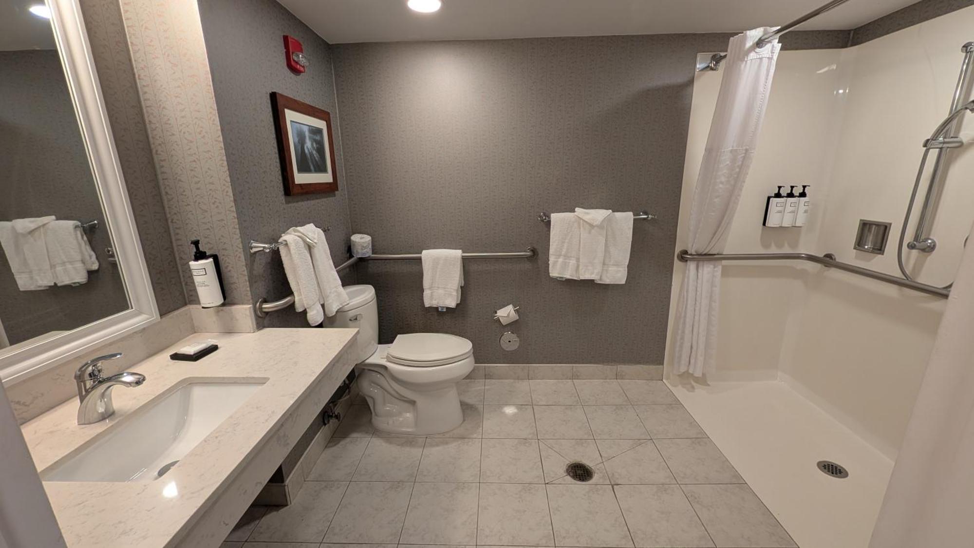 King Room Roll Shower Mobility Accessible or Non-Smoking