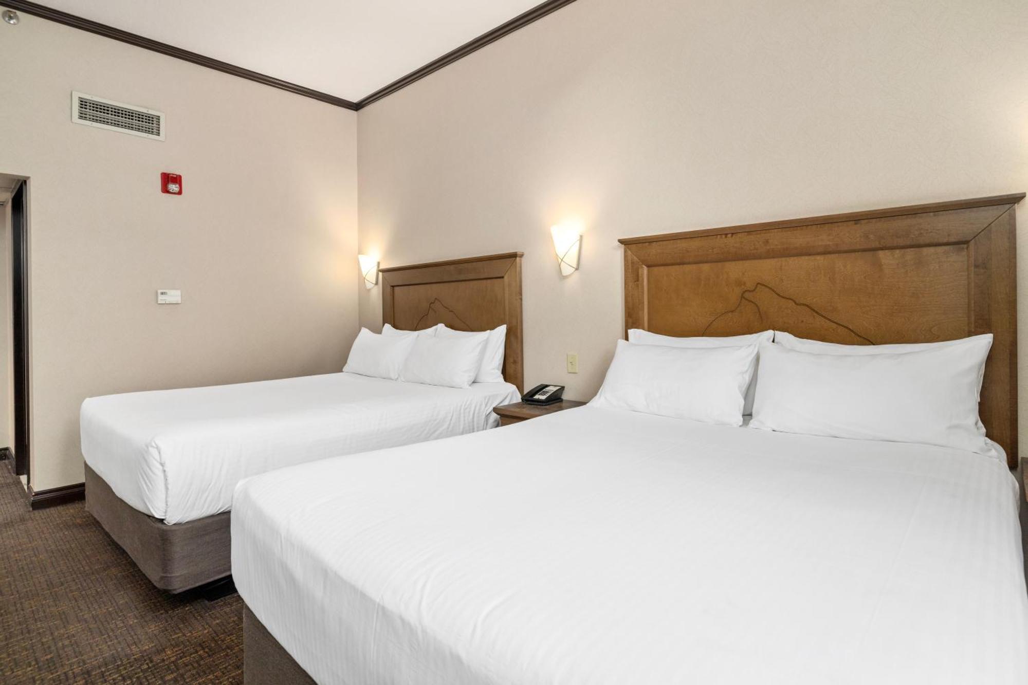 Superior Two Queen Room