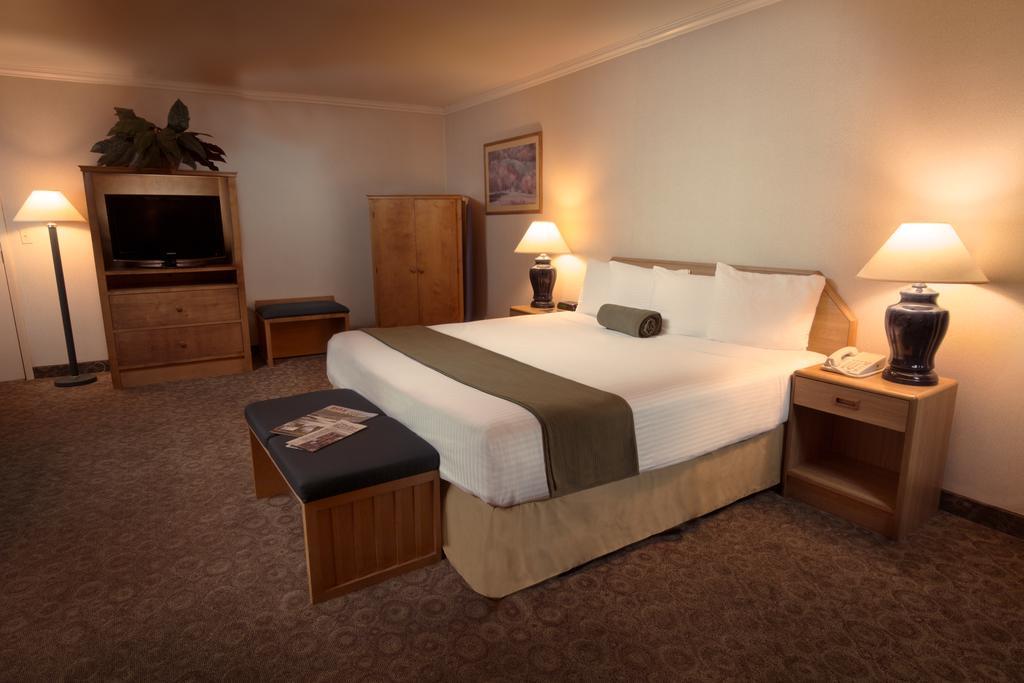 The Redwood King Suite
