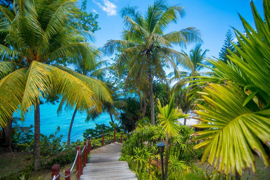 Privilege Double Room,319416385:JPEG