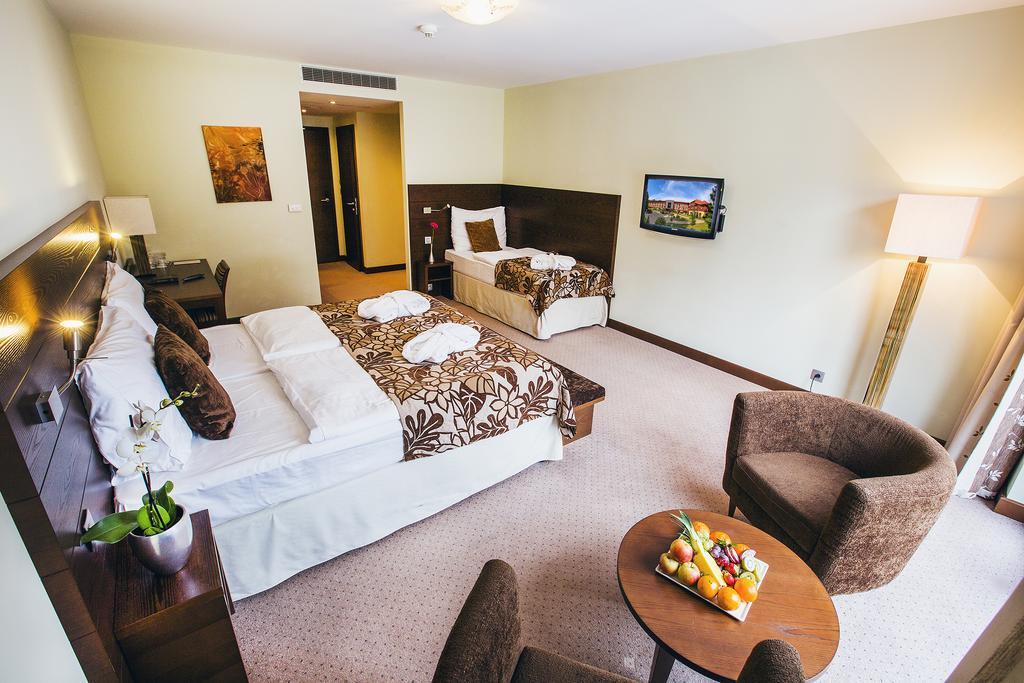 Comfort Triple Room,370834171:JPEG