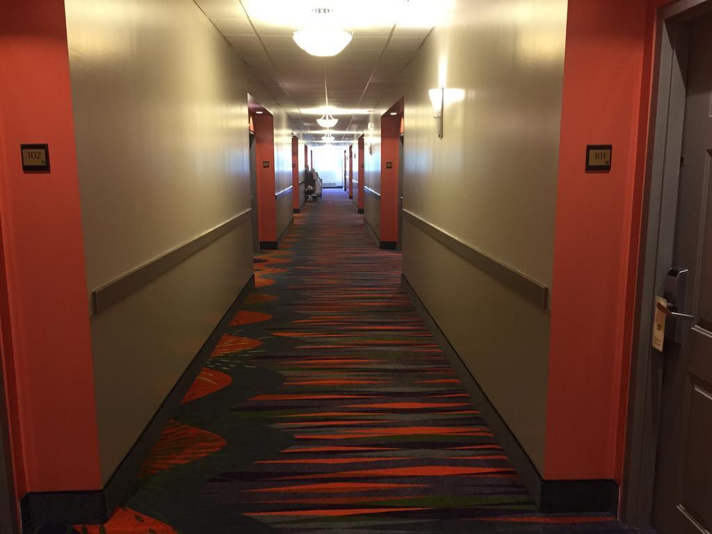 Queen Room with Two Queen Beds - Non-Smoking,794585601:JPEG