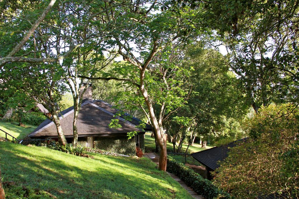 Superior Cottage