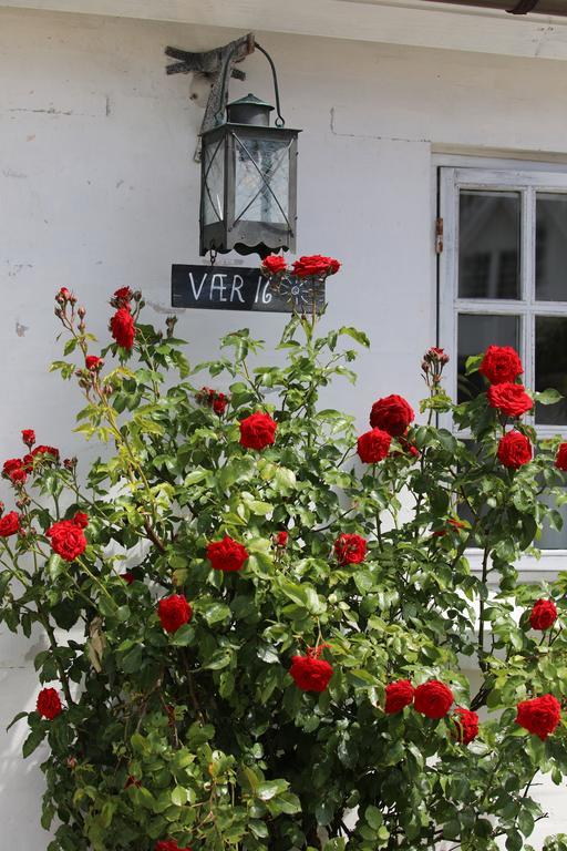 Family Room - Gården,785169387:JPEG