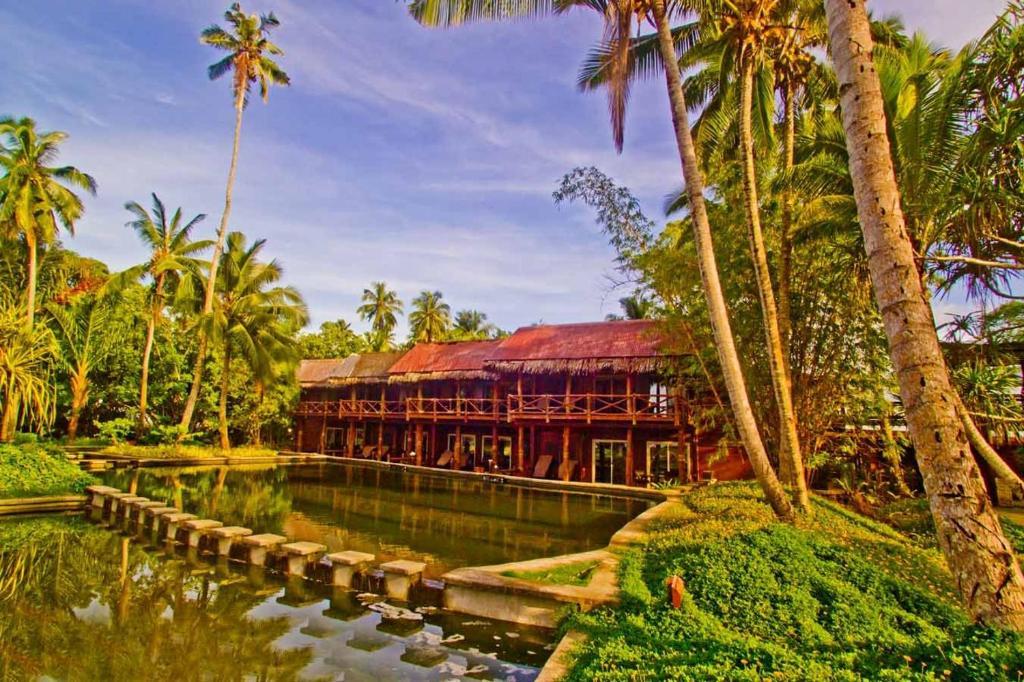 Treehouse Suite,59467504:JPEG