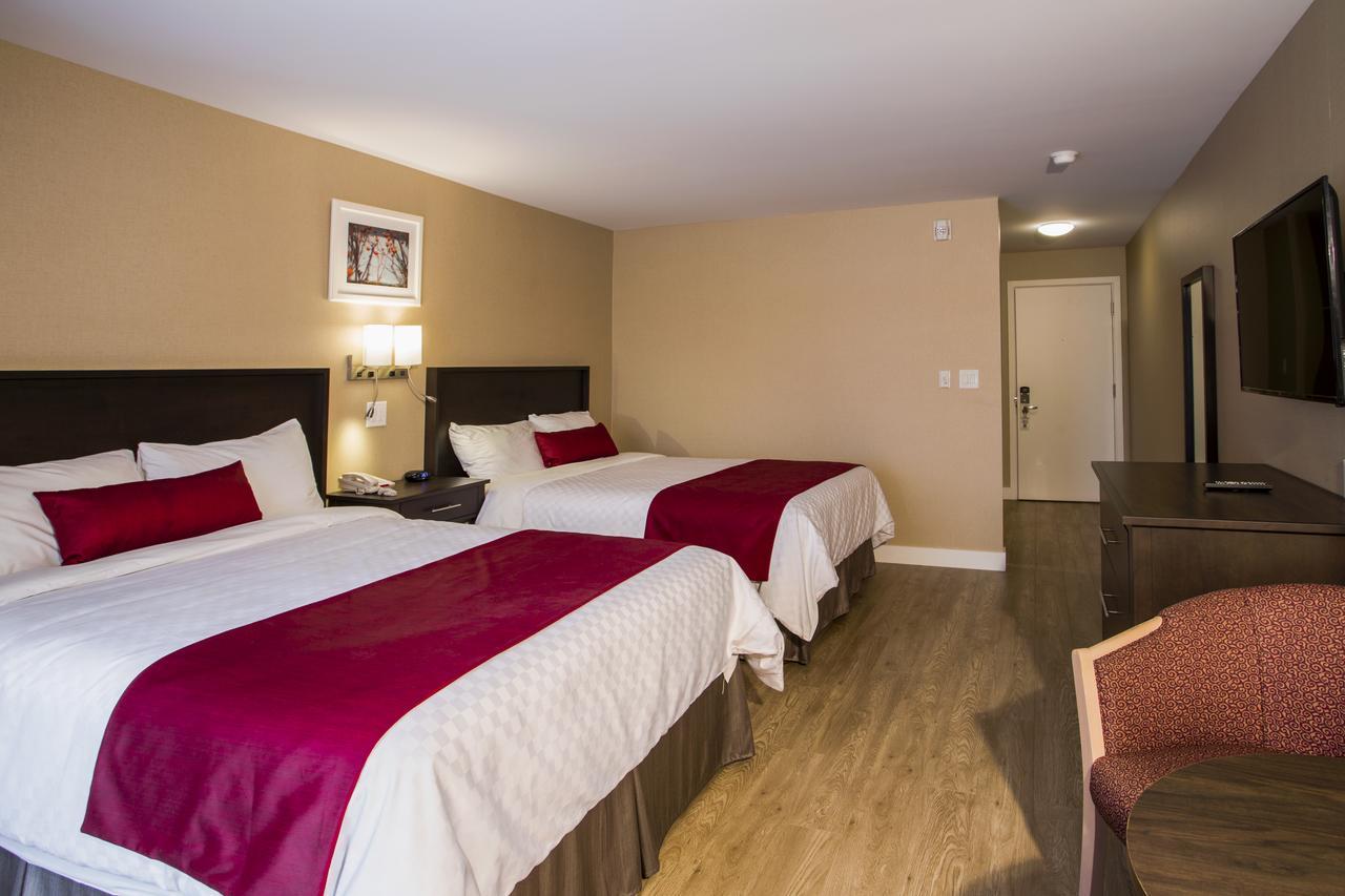 Superior Queen Room 2 Queen Beds Wood Floor