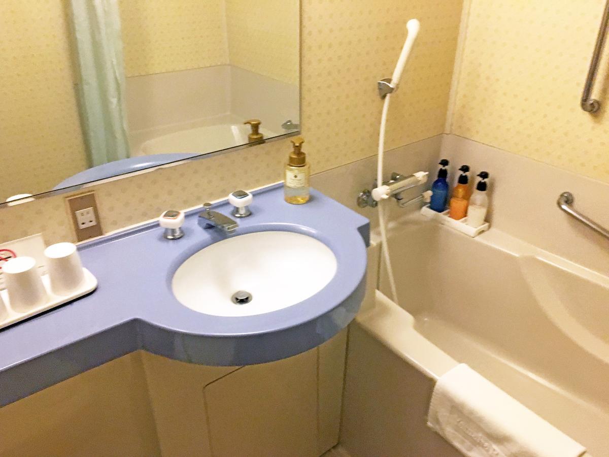 Standard Twin Room with Sofa Bed - South Wing,532401471:JPEG