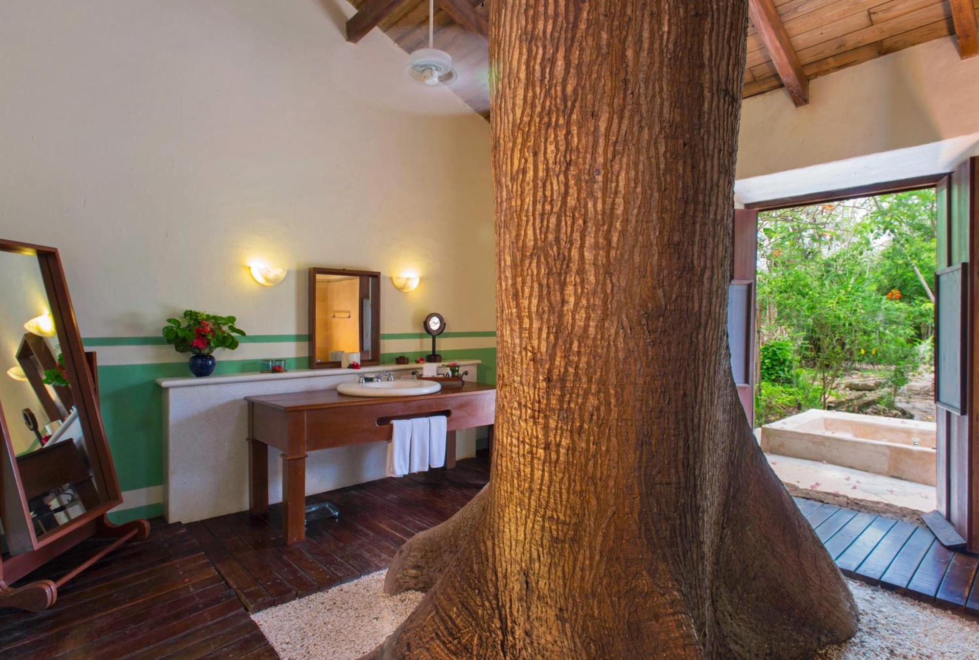 King Suite,563753655:JPEG