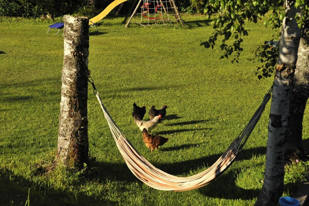 Double or Twin Room,150395488:JPEG