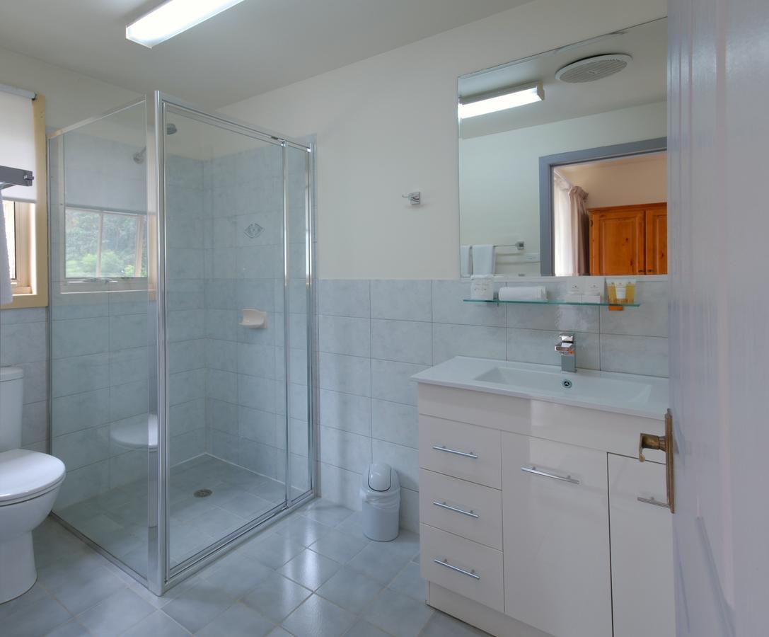 Deluxe Double or Twin Room River View