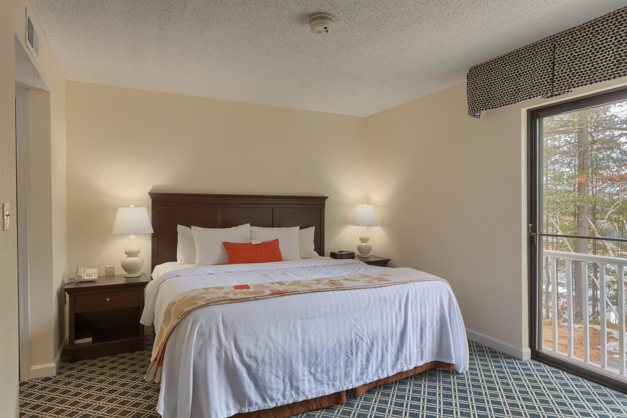 Luxury King Studio,631189557:JPEG