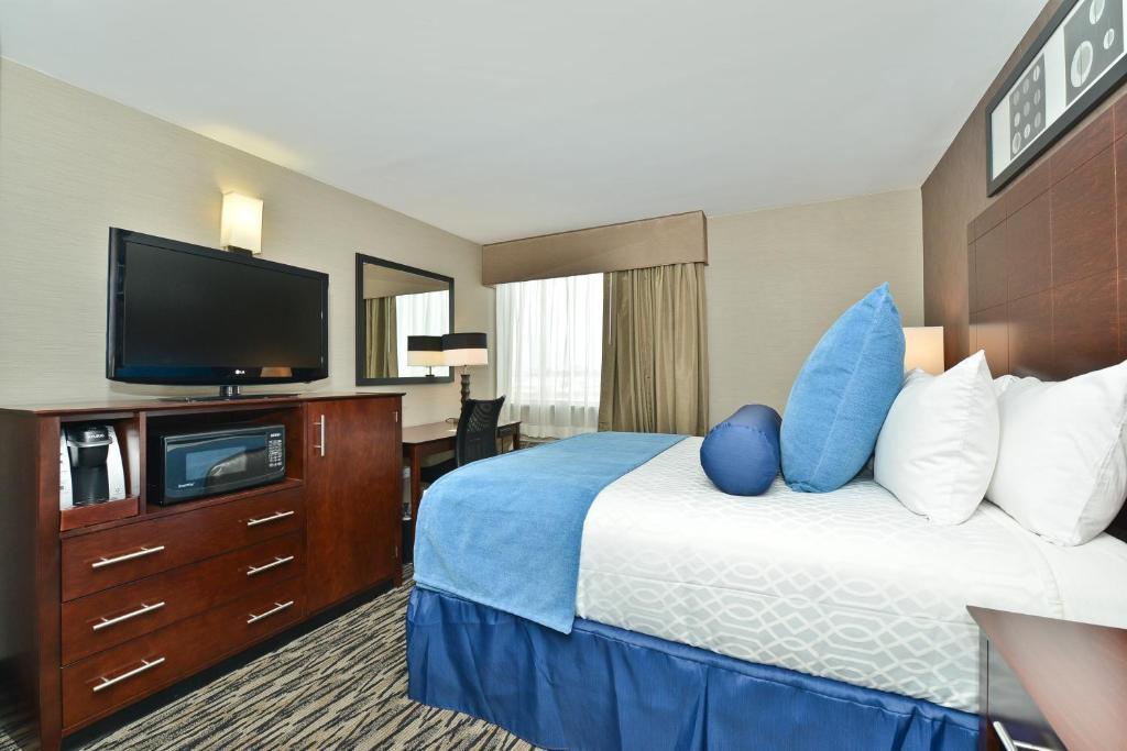 Queen Room,64577074:JPEG