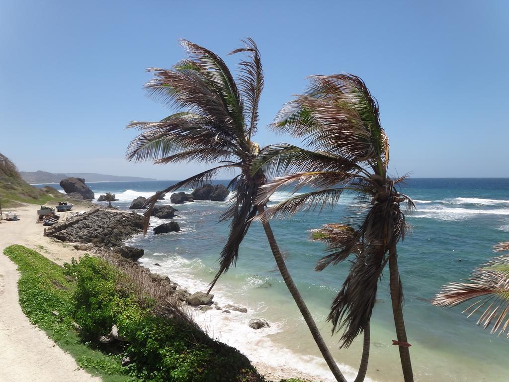 One-Bedroom Suite - Ocean Front,712125967:JPEG