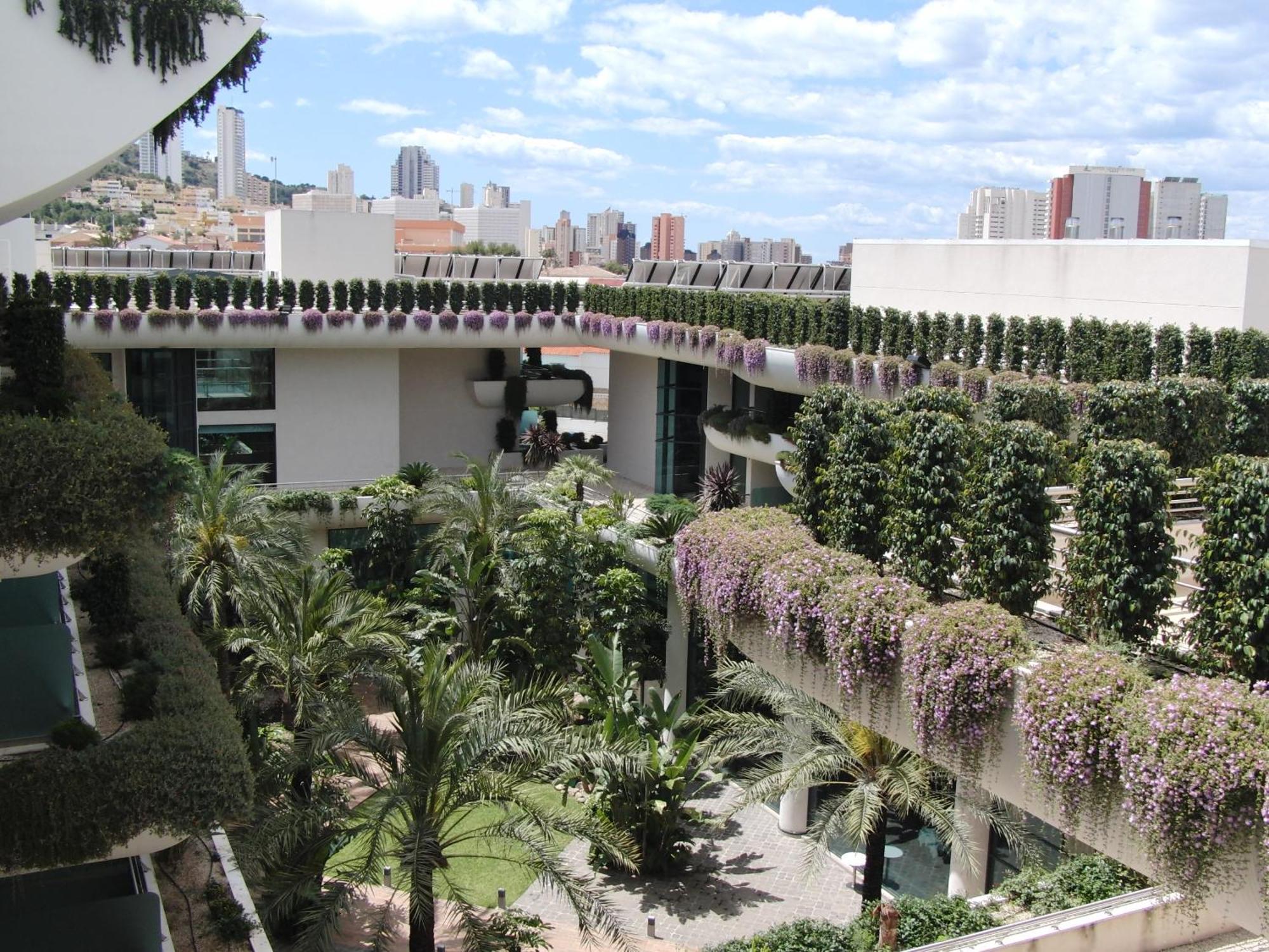 Single Room,1272879619:JPEG