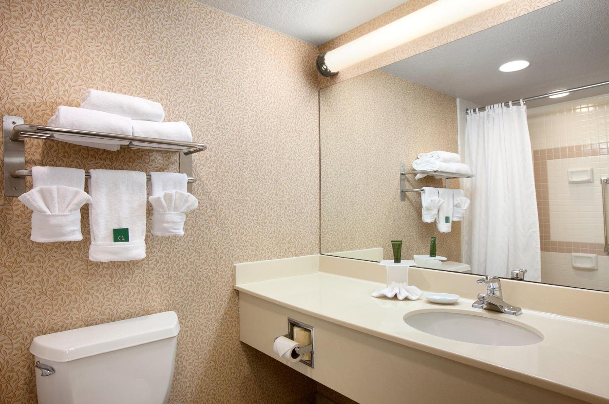 King Room,707732986:JPEG